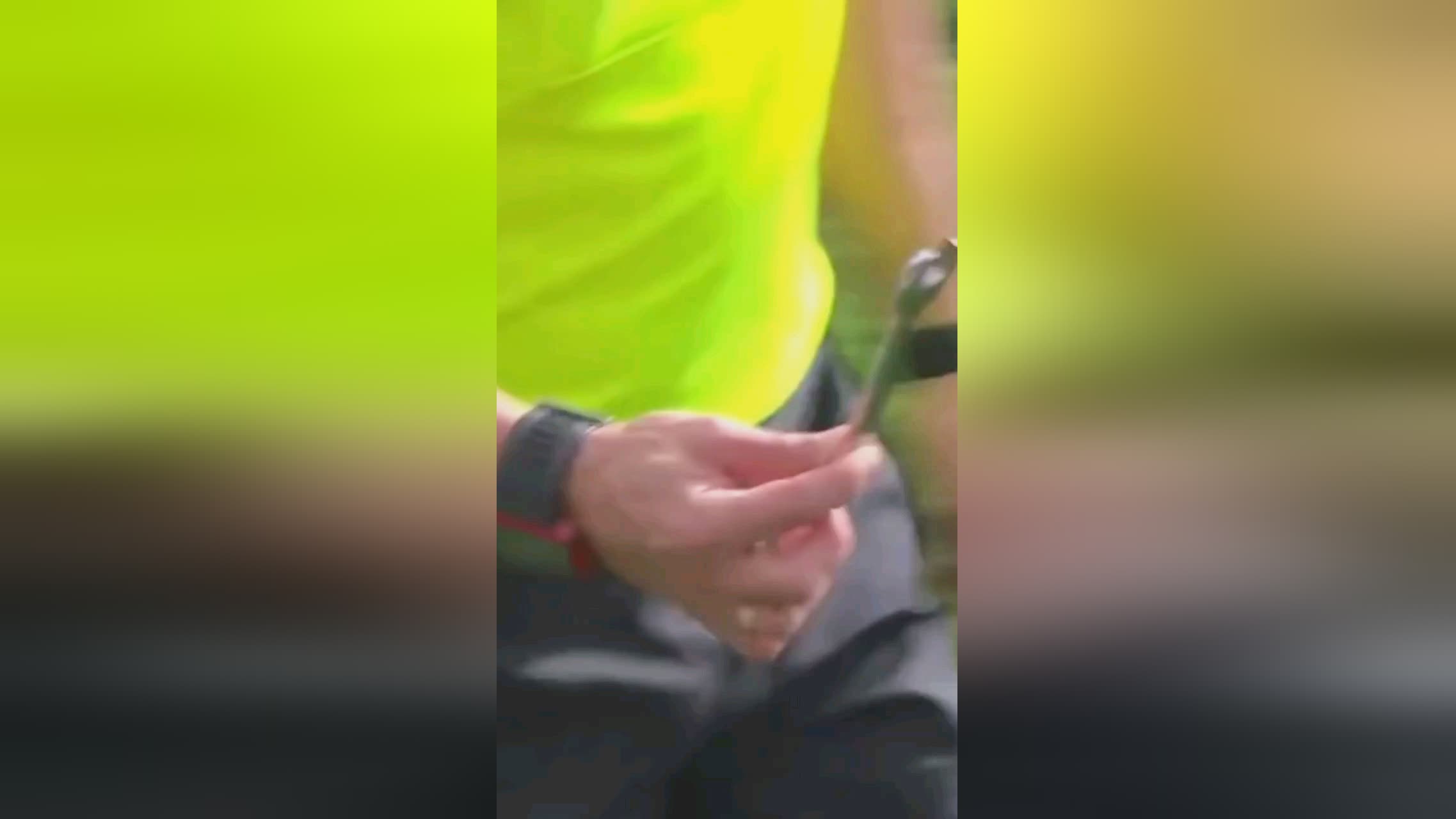 关注他以激